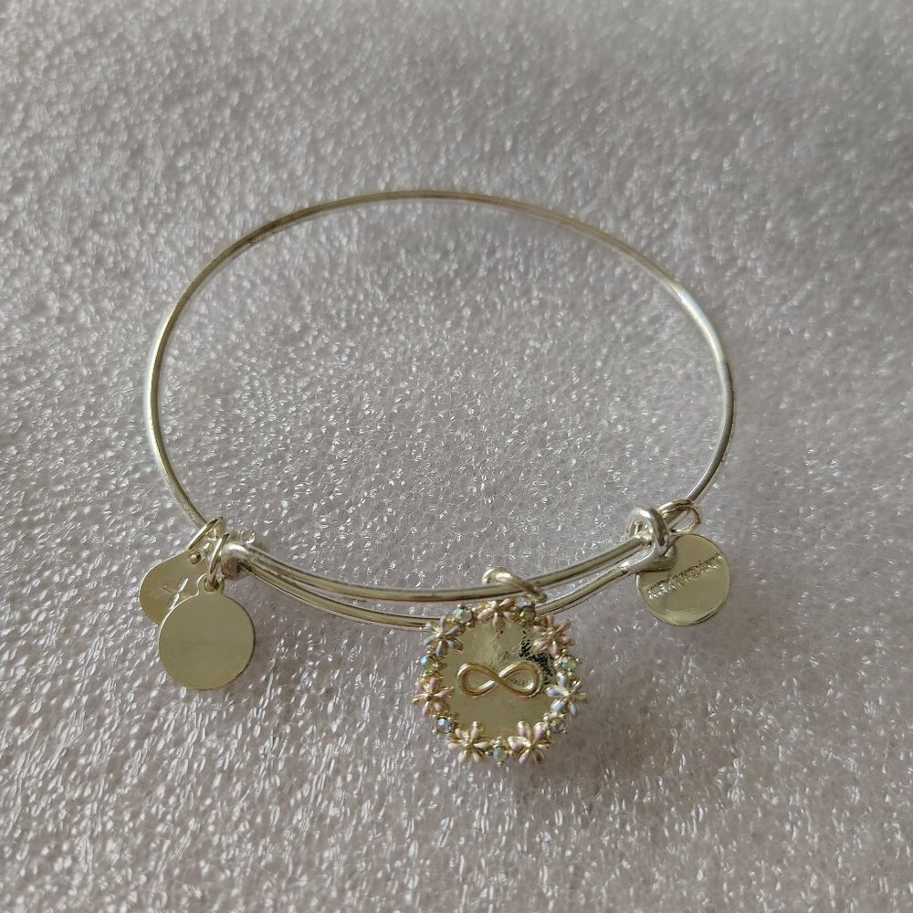 HTF Alex and Ani You are Loved Infinity Symbol Bangle  406